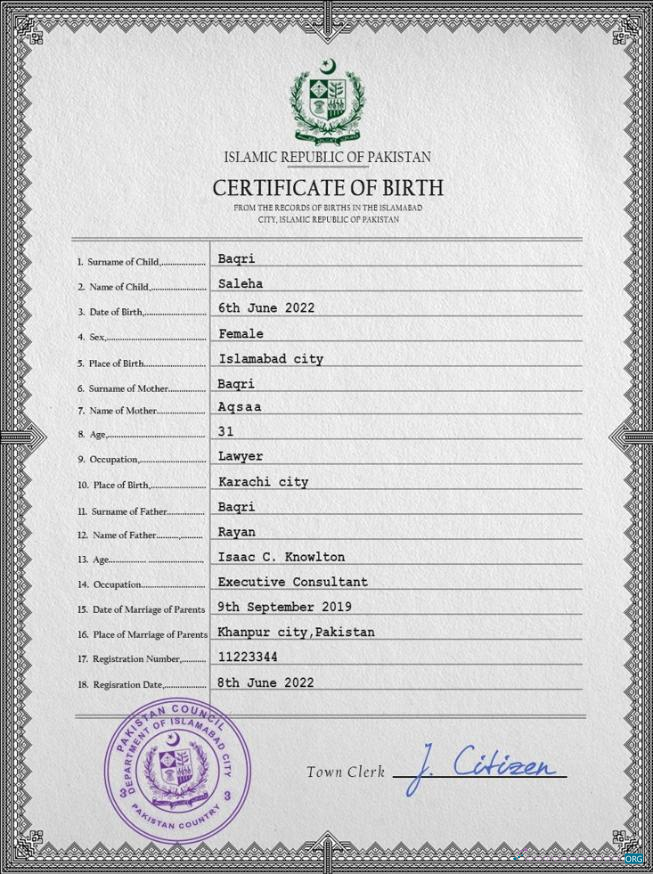 Профессиональный Скачать Пакистан Vital Record Birth Certificate PSD Шаблон Photoshop Шаблон