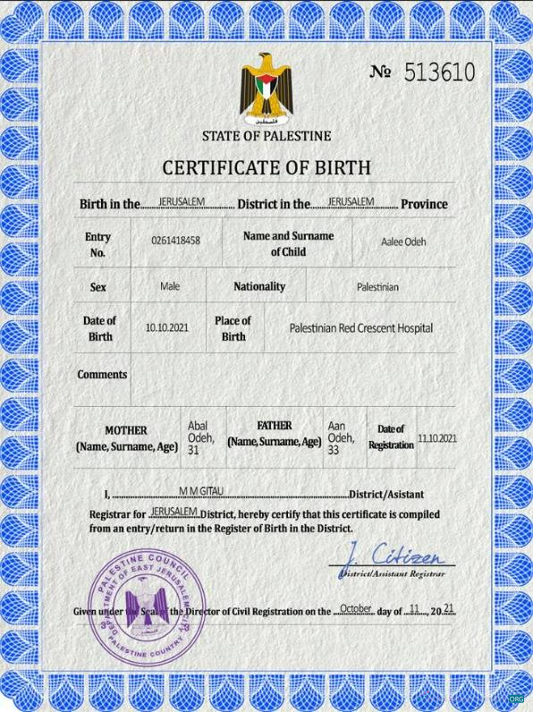 Профессиональный Скачать Palestine Vital Record Birth Certificate PSD Шаблон Photoshop Шаблон