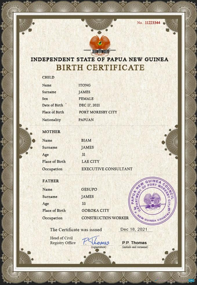 Реалистичный Скачать Папуа-Новая Гвинея Birth Certificate PSD Шаблон Photoshop Шаблон