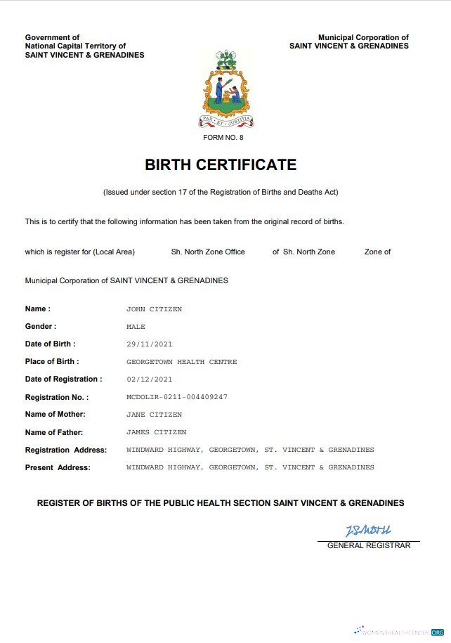 Редактируемый Скачать Saint Vincent & Grenadines Vital Record Birth Certificate Word и PDF Шаблон Photoshop Шаблон