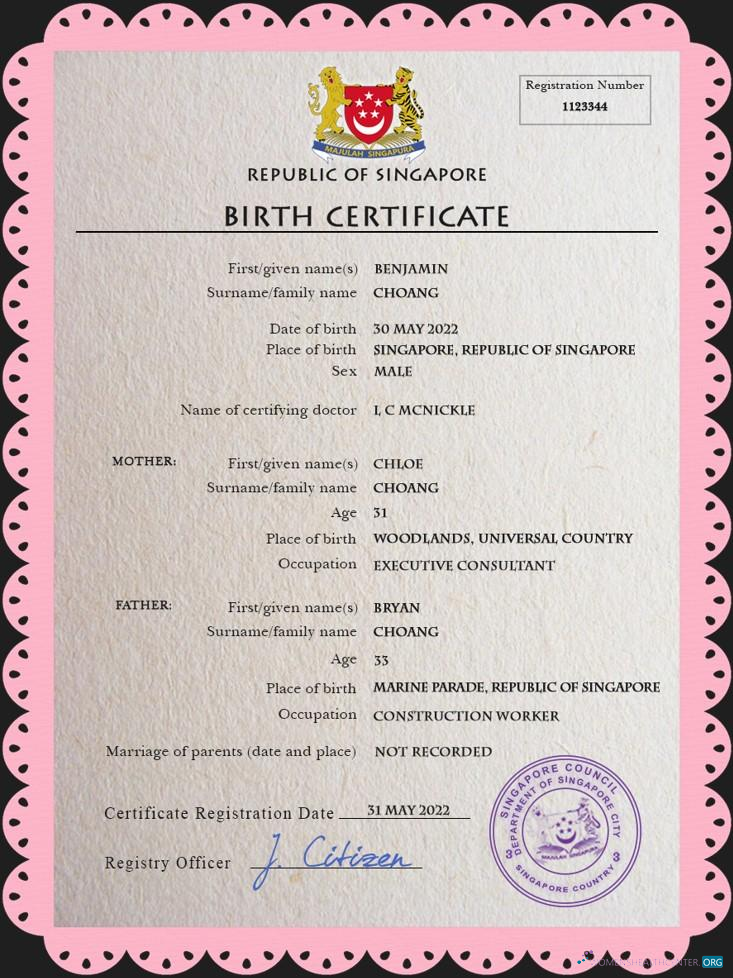 Реалистичный Скачать Сингапур Vital Record Birth Certificate PSD Шаблон Photoshop Шаблон