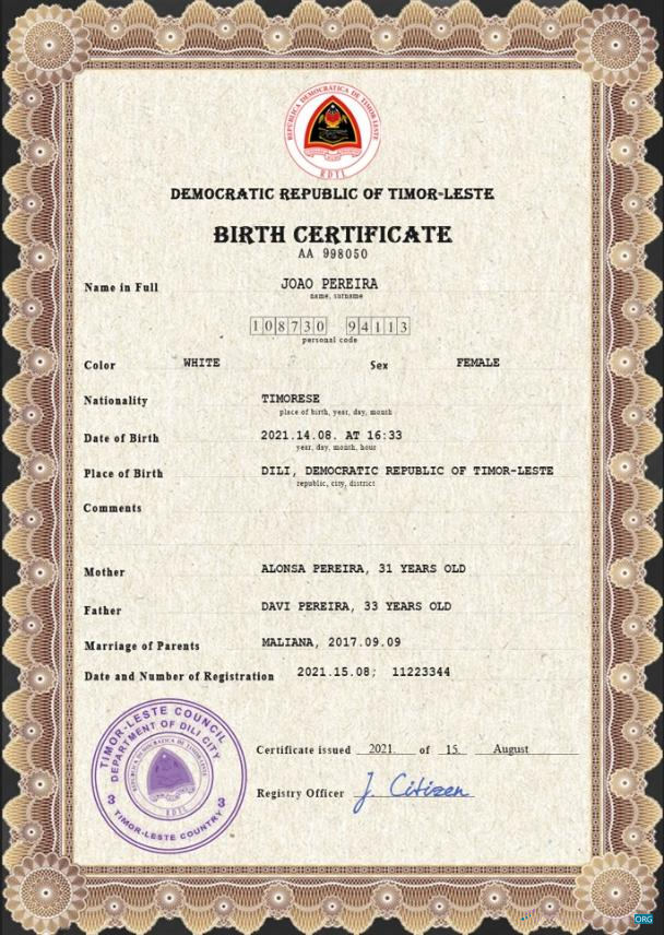 Редактируемый Скачать Timor Leste Vital Record Birth Certificate PSD Шаблон Photoshop Шаблон