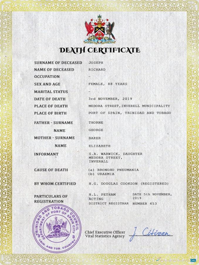 Профессиональный Скачать Тринидад и Тобаго Vital Record Death Certificate PSD Шаблон Photoshop Шаблон