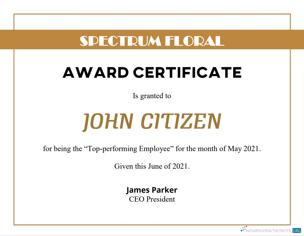 Редактируемый Скачать USA Award Certificate Photoshop Шаблон