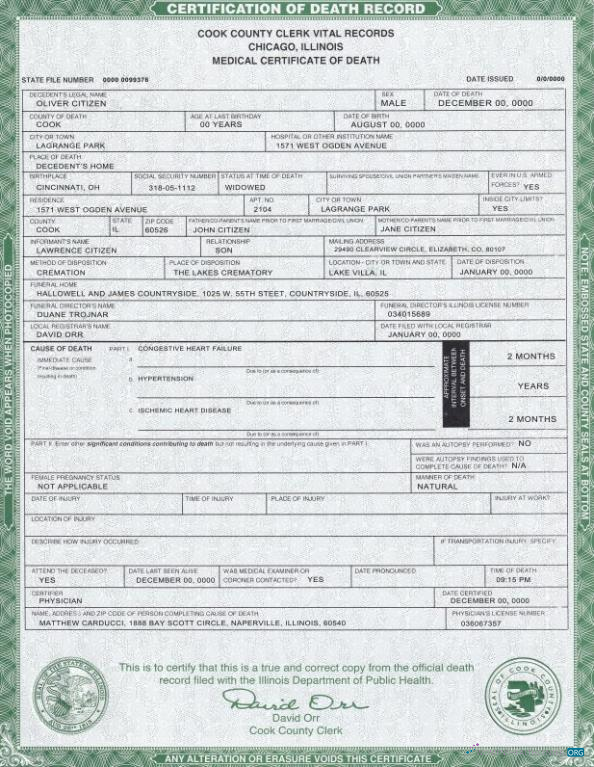 Редактируемый Скачать USA Illinois Государственный Death Certificate Шаблон в PSD Формат Photoshop Шаблон