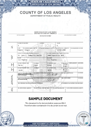Премиум Скачать USA Los Angeles Certificate Live Birth Photoshop Шаблон