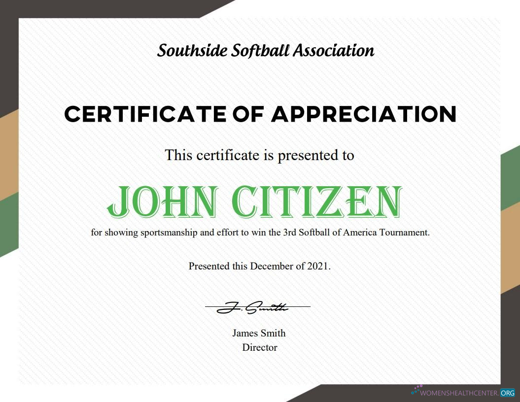 Реалистичный Скачать USA Softball Certificate Photoshop Шаблон