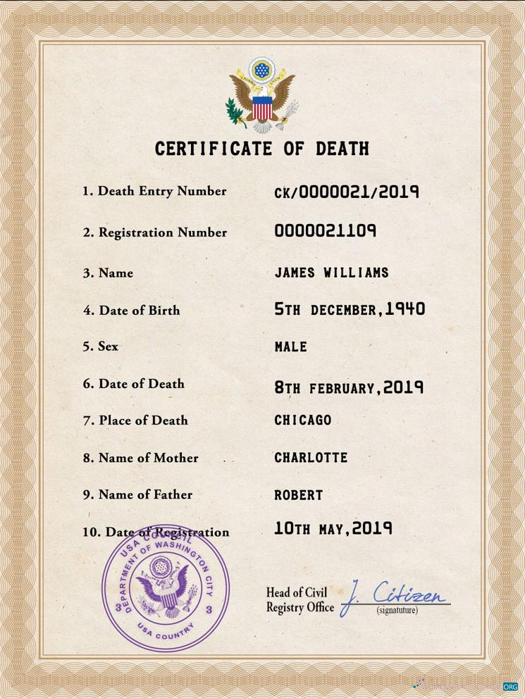 Редактируемый Скачать USA Vital Record Death Certificate PSD Шаблон Photoshop Шаблон