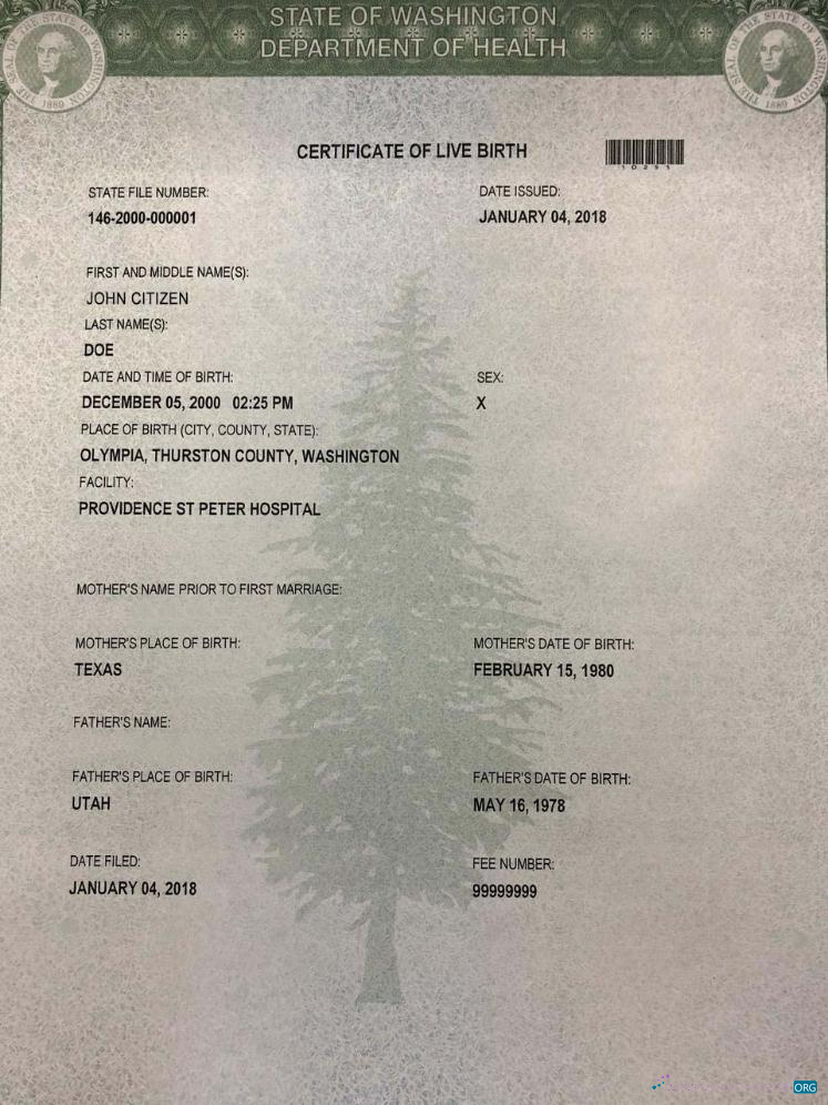 Премиум Скачать США Департамент Health St Peter Hospital Birth Certificate Photoshop Шаблон