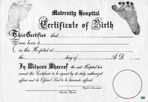 Премиум Скачать США Certificate Birth Photoshop Шаблон