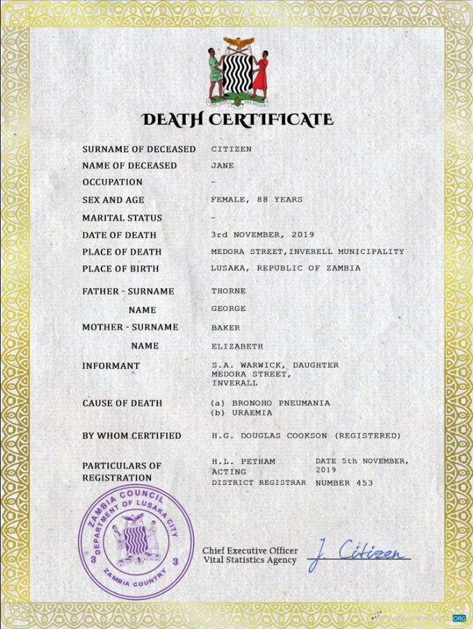 Редактируемый Скачать Замбия Vital Record Death Certificate PSD Шаблон Photoshop Шаблон
