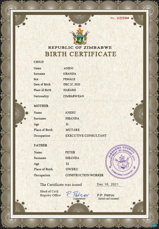 Премиум Скачать Зимбабве Vital Record Birth Certificate PSD Шаблон Photoshop Шаблон