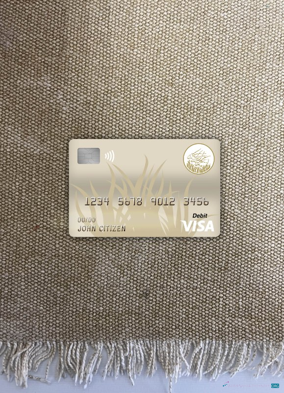 Zentralafrikanische Republik Bank von Zentral African States (beac) Bank Visa Debit Karte Foto-Look Vorderseite vorlage