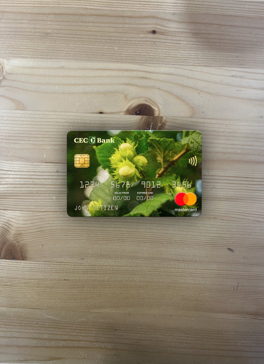 Editierbare Herunterladen Rumänien CEC Bank Mastercard Foto-Look Vorderseite Photoshop Vorlage