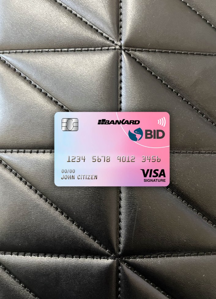 Ecuador Banco Interamericano de Desarrollo (BID) Bank Visa Signature Karte Foto-Look Vorderseite vorschau