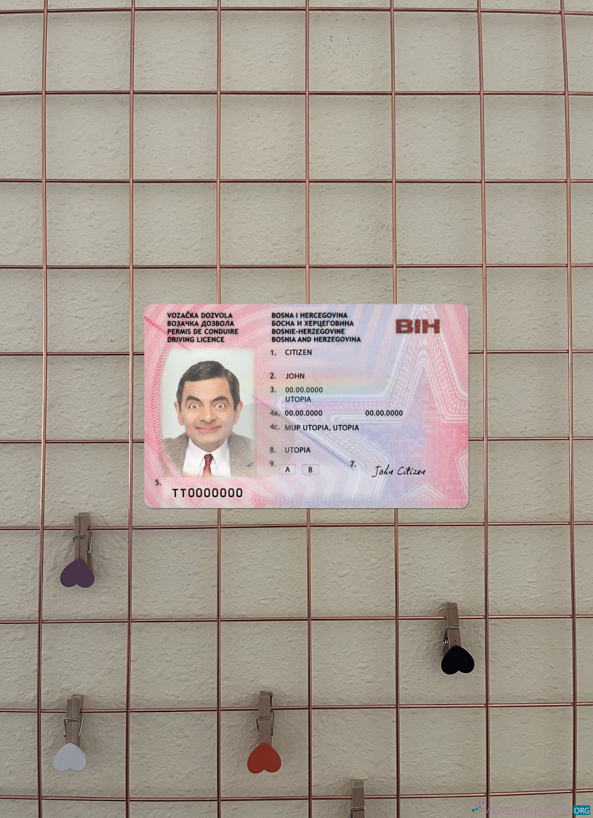 Профессиональный Скачать Босния и Герцеговина Driving License Версия 2 Фотоэффект Лицевая Сторона Photoshop Шаблон