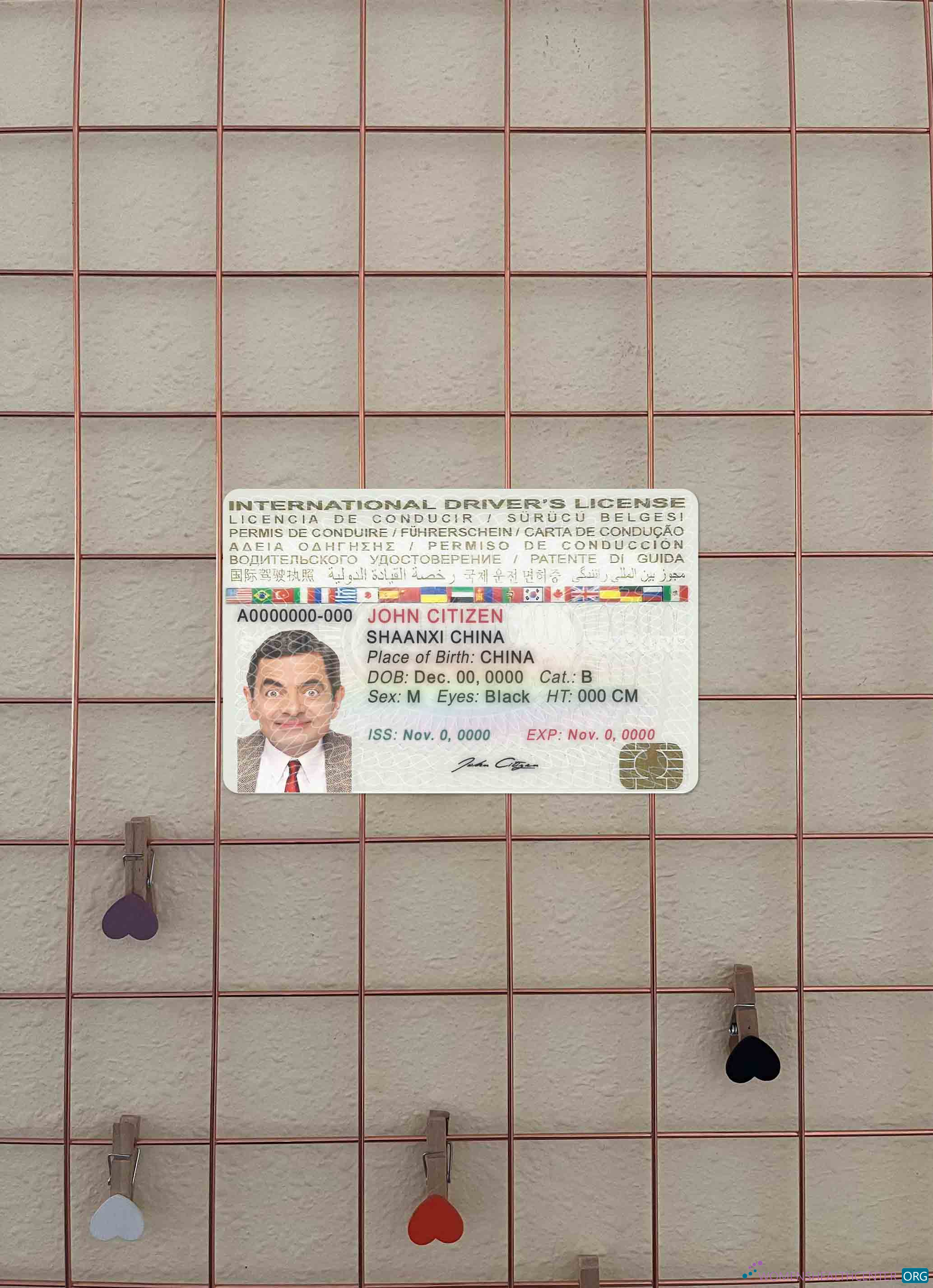 Реалистичный Скачать Международный Driver's License Фотоэффект Лицевая Сторона Photoshop Шаблон