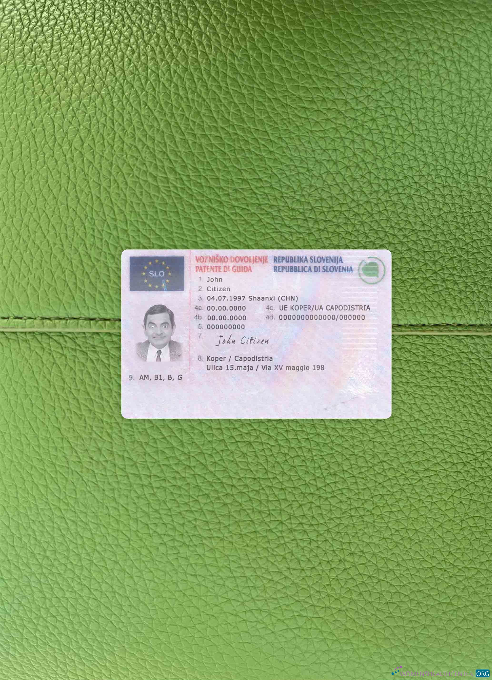 Редактируемый Скачать Словения Driving License Фотоэффект Лицевая Сторона Photoshop Шаблон