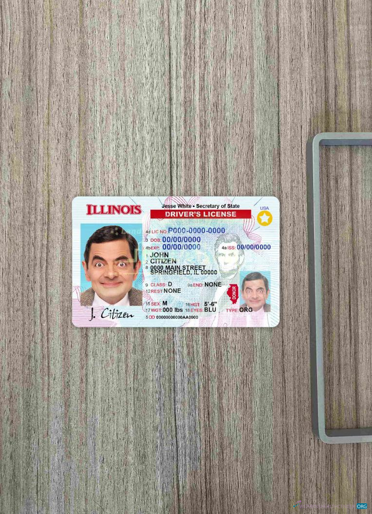 Профессиональный Скачать USA Illinois DL Фотоэффект Лицевая Сторона Photoshop Шаблон