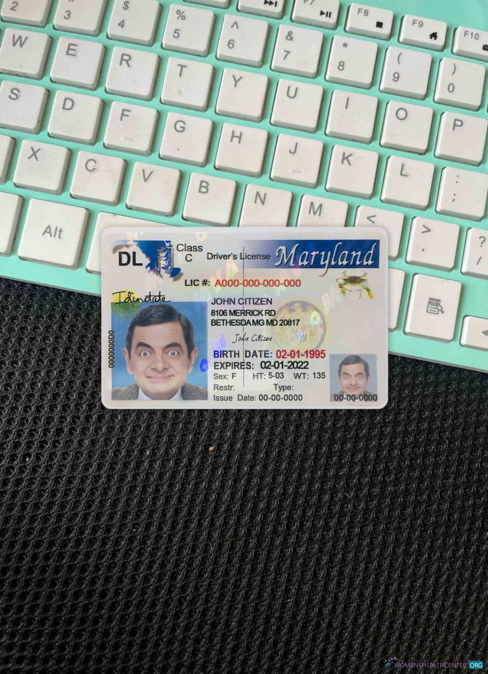 Качественный Скачать USA Maryland Driving License 2003 2016 Фотоэффект Лицевая Сторона Photoshop Шаблон