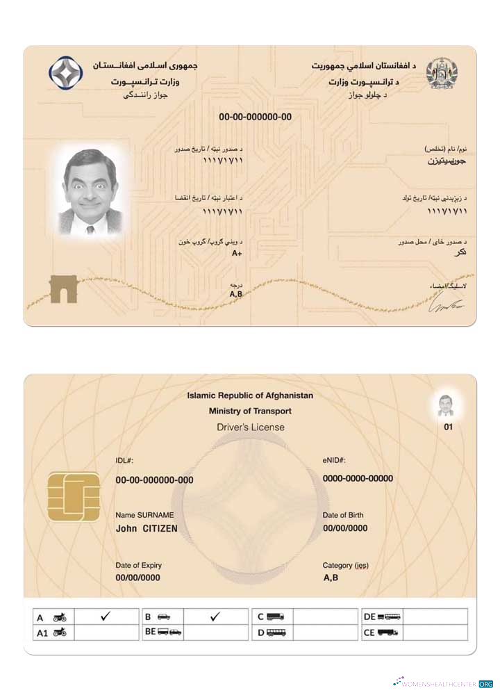 Télécharger Afghanistan Electronic Driving License 2019 Présent aperçu