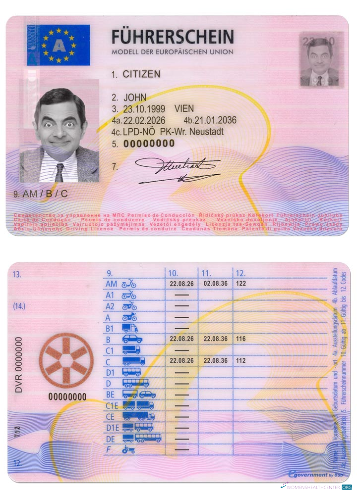 Télécharger Autriche Driving License 2013 Présent échantillon