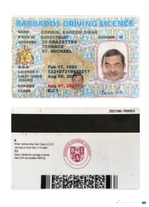 Télécharger Barbade Driving License maquette