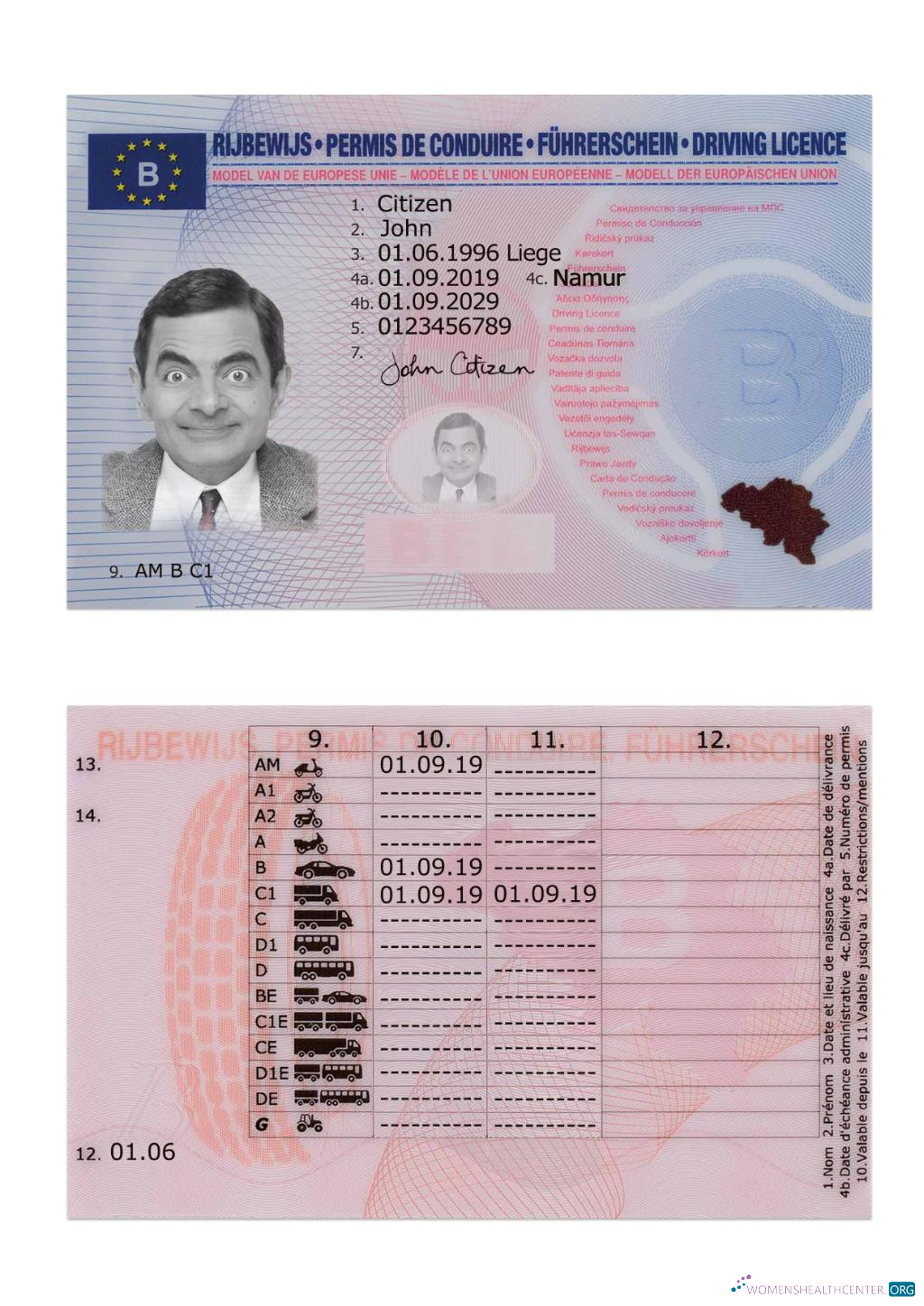 Télécharger Belgique Driving License 2019 Présent maquette