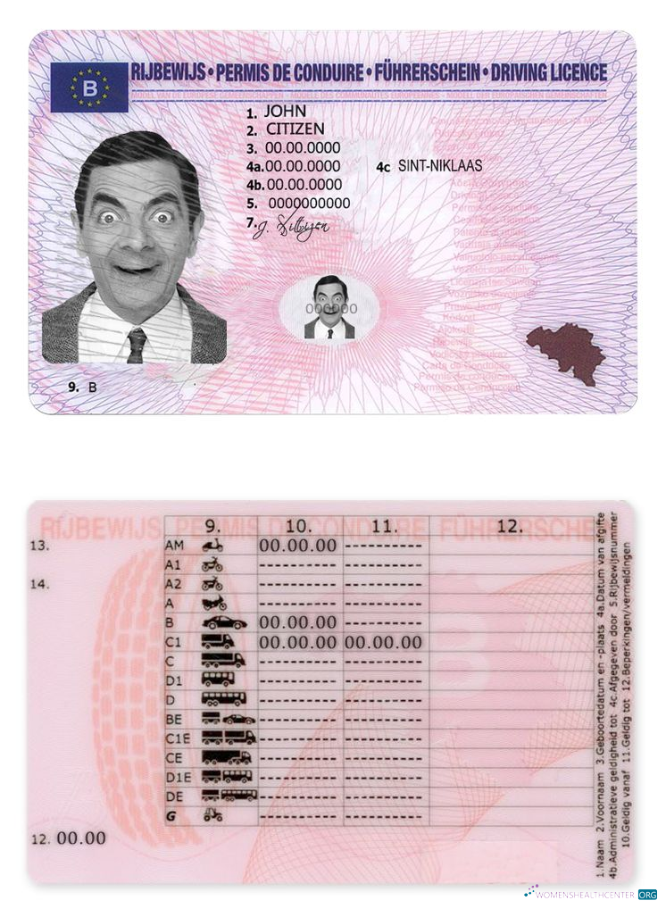 Télécharger Belgique Driving License maquette