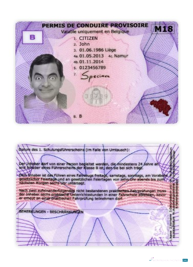 Télécharger Belgique Provisional Driving License aperçu