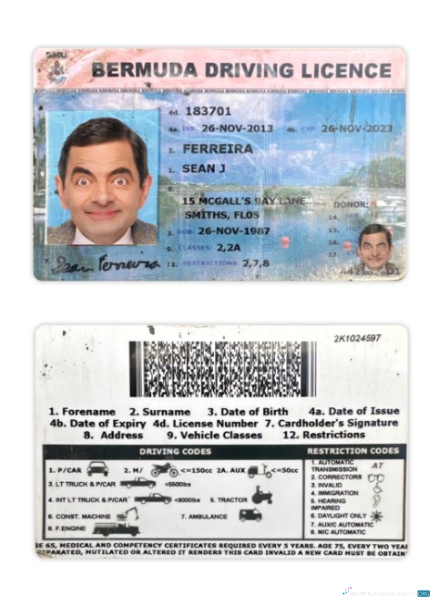 Télécharger Bermuda Driving License modèle