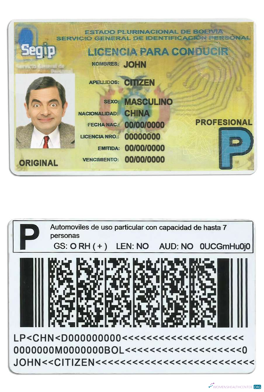 Télécharger Bolivie Driving License échantillon