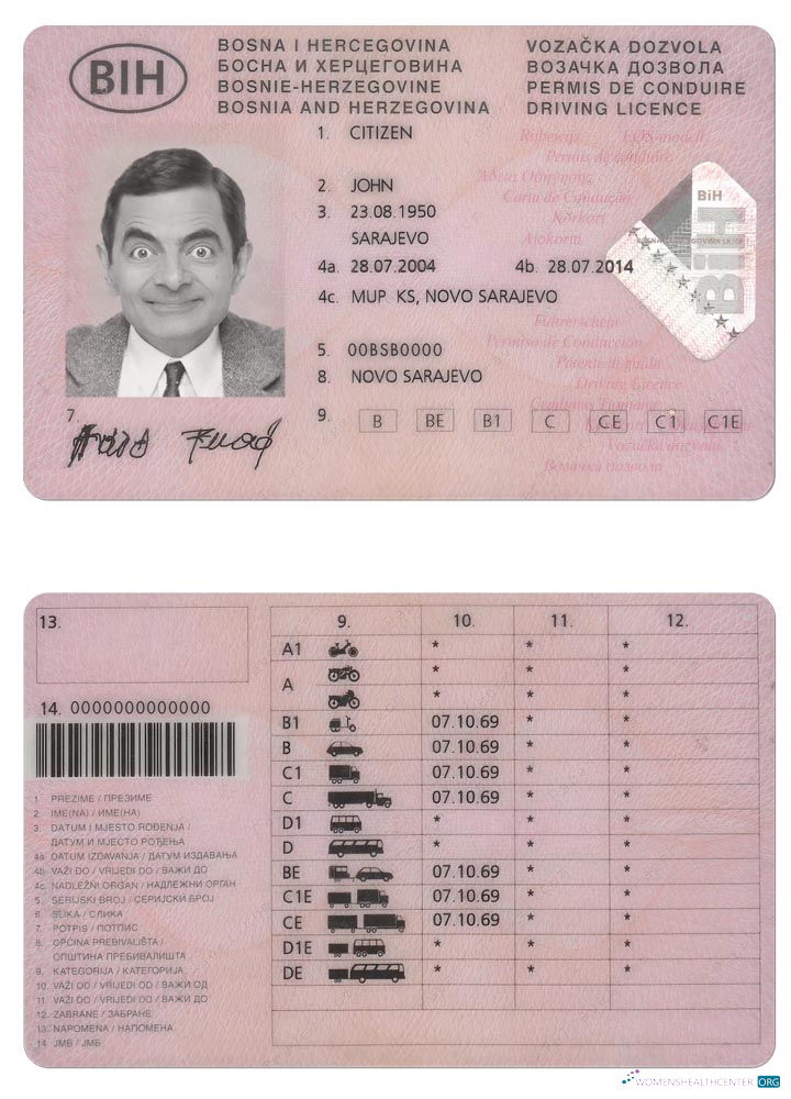 Télécharger Bosnie et Herzégovine Driving License modèle