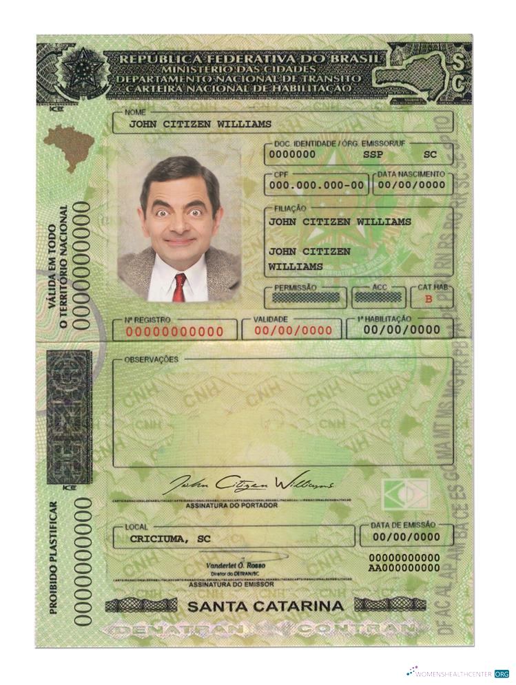 Télécharger Brésil(SantaCatarina)driving License échantillon