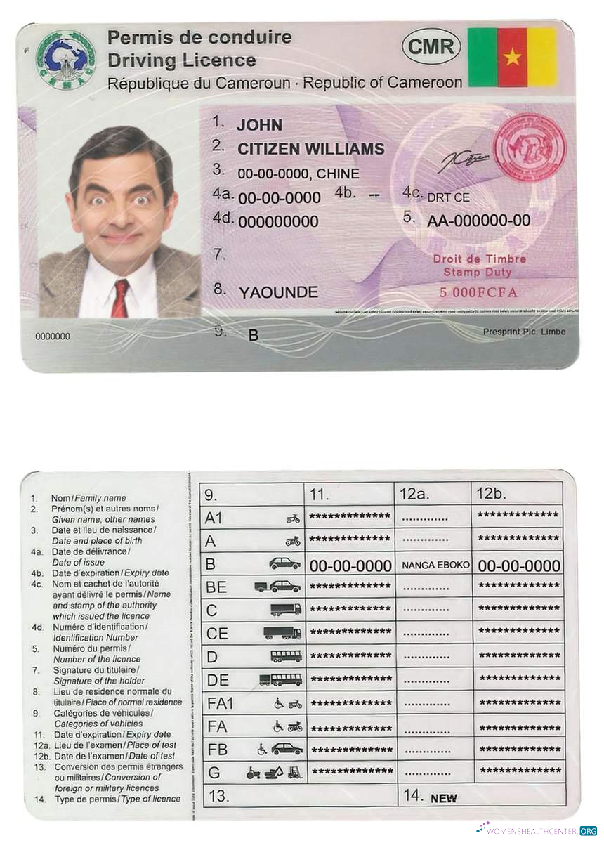 Télécharger Cameroun Driving License design