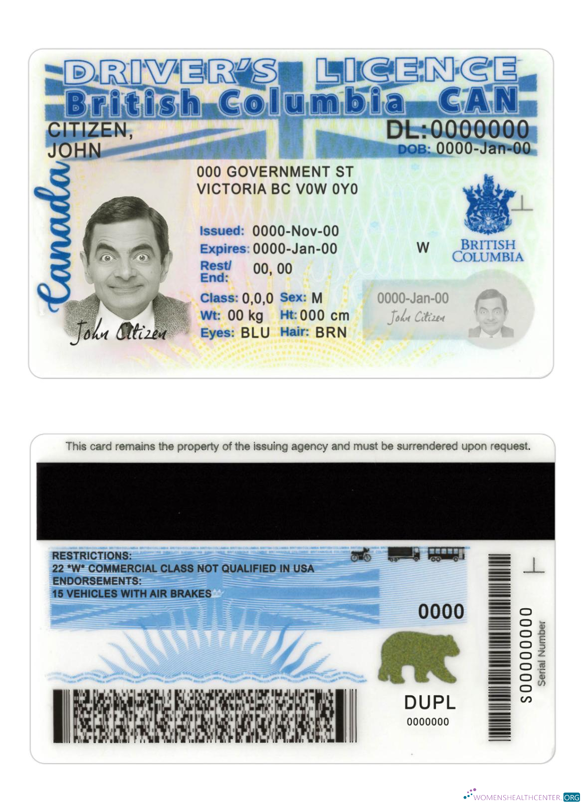 Télécharger Canada British Columbia Driving License Nouveau Version aperçu