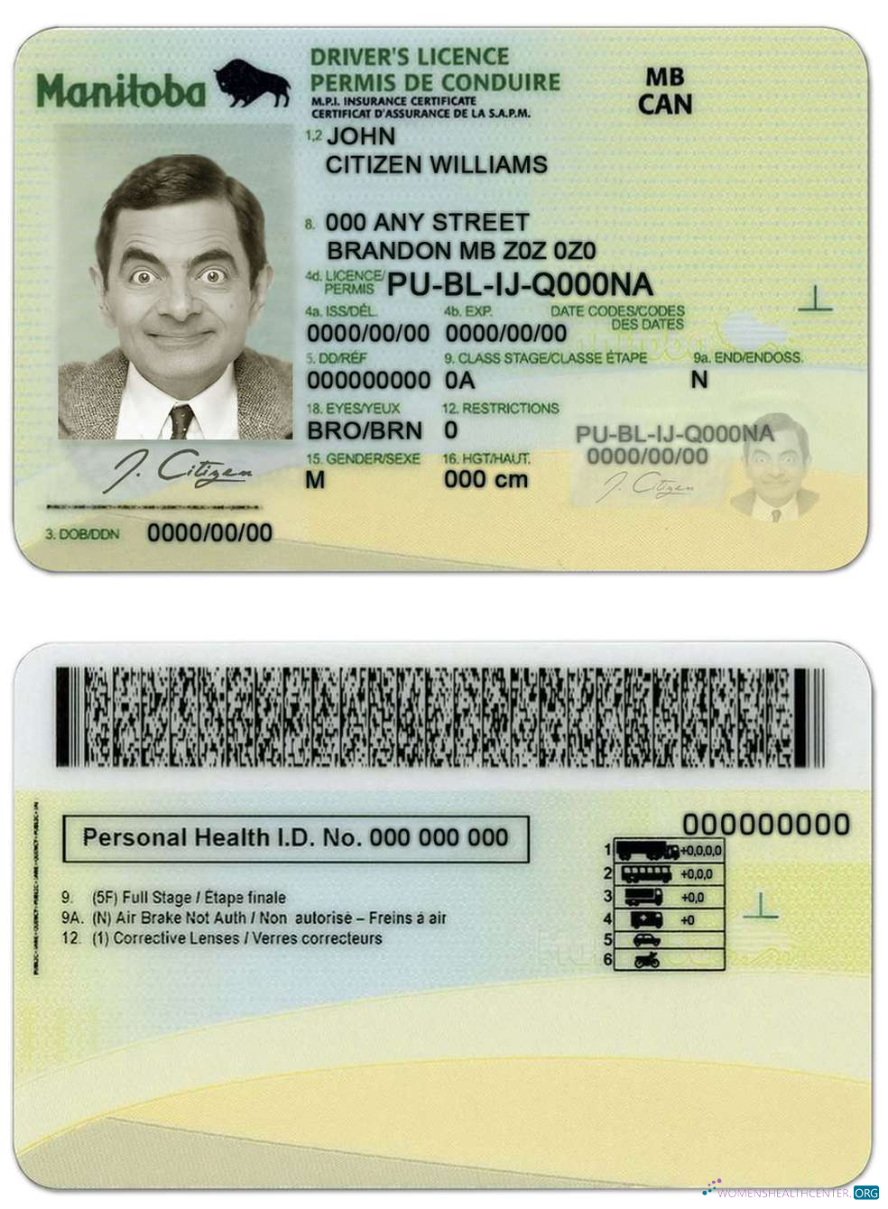 Télécharger Canada Manitoba Province Driving License échantillon