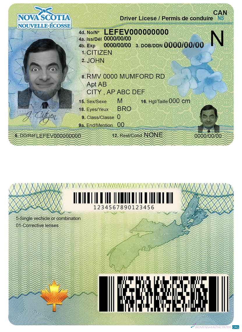 Télécharger Canada Nova Scotia Driving License aperçu