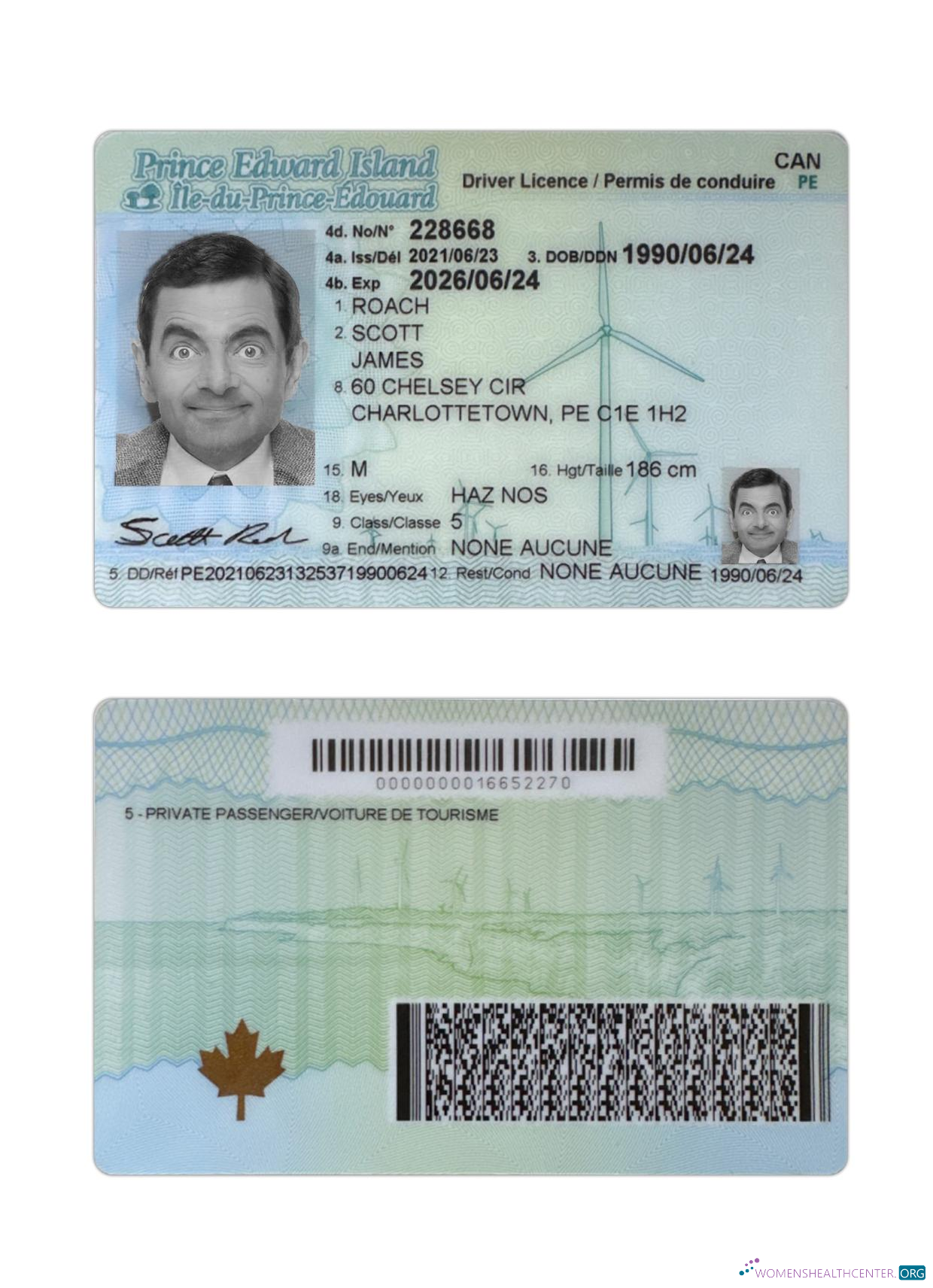 Télécharger Canada Prince Edward Île Driving License maquette