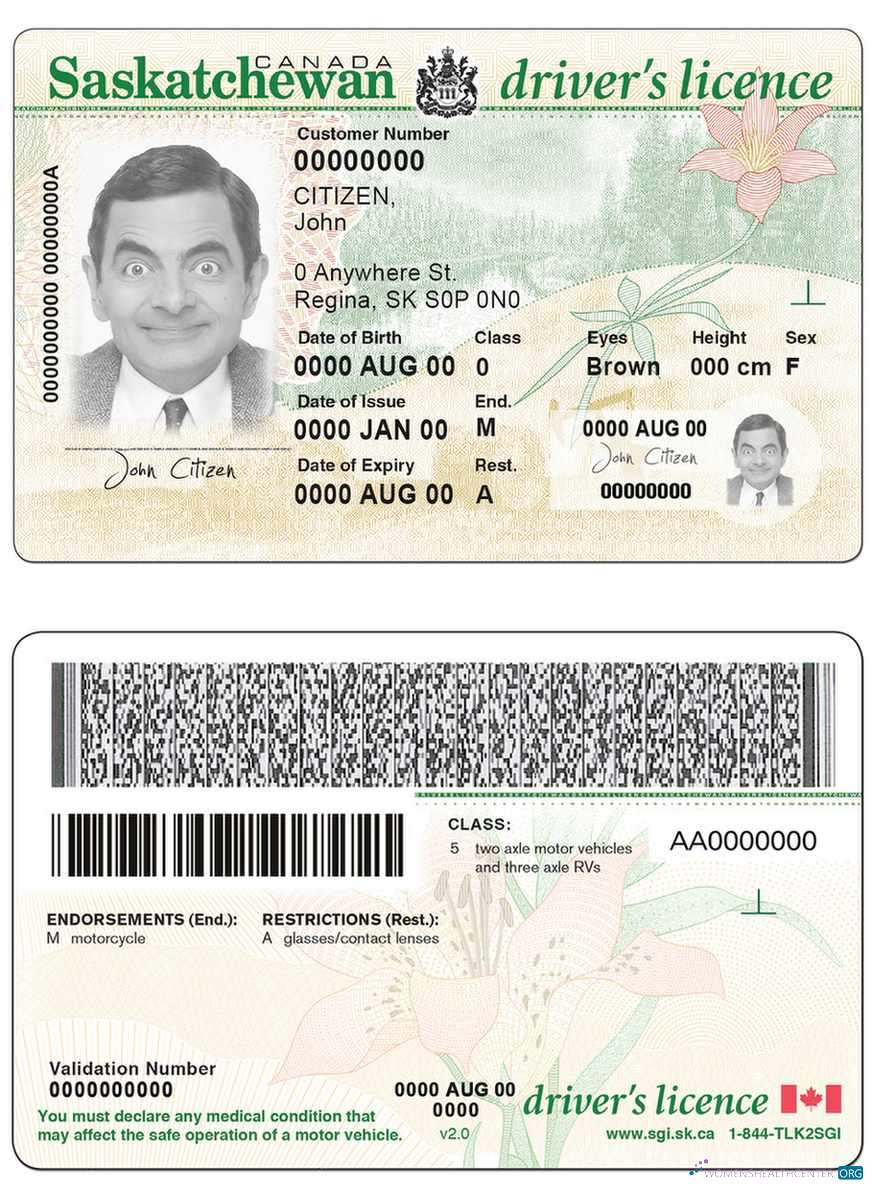 Télécharger Canada Province Saskatchewan Driving License modèle