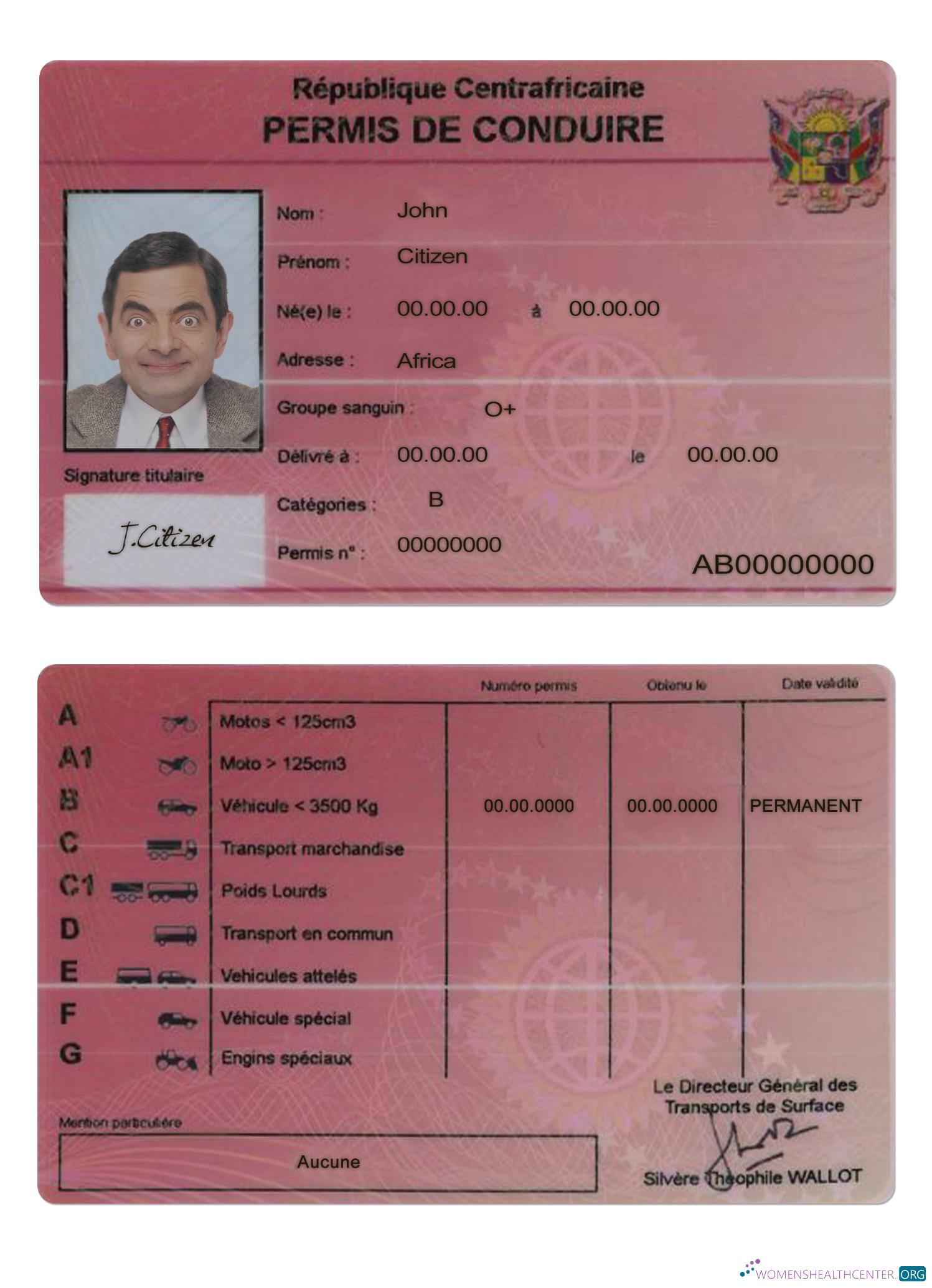 Télécharger Central African Driving License maquette