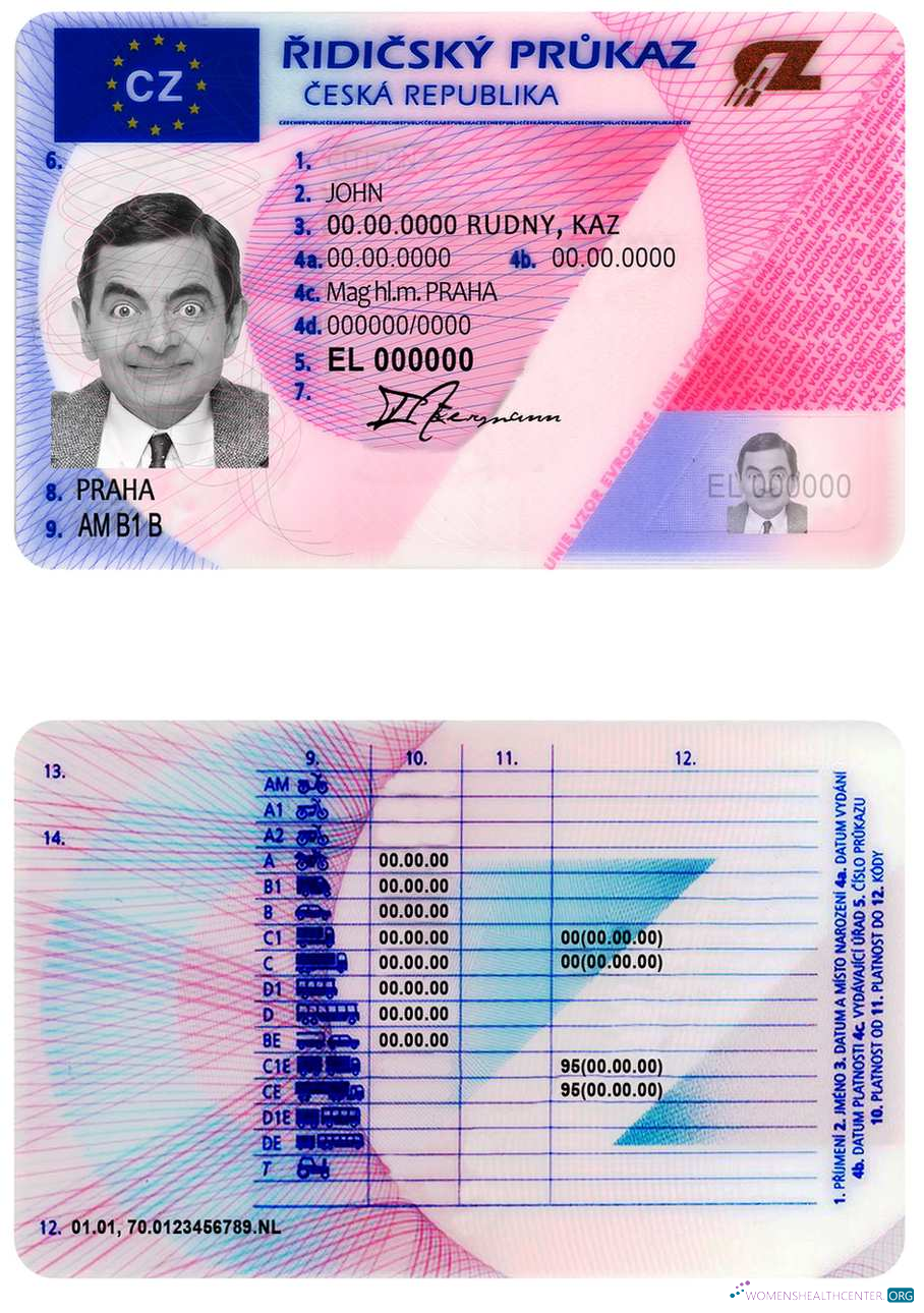 Télécharger Tchéquie Driving License échantillon