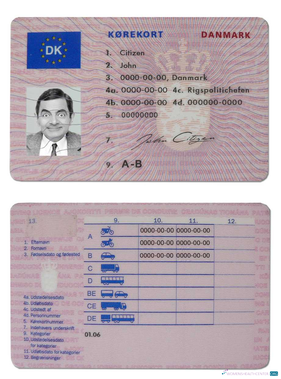Télécharger Danemark Driving License (1997 2013) aperçu