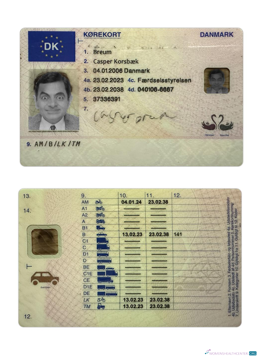 Télécharger Danemark Driving License 2023 Présent modèle