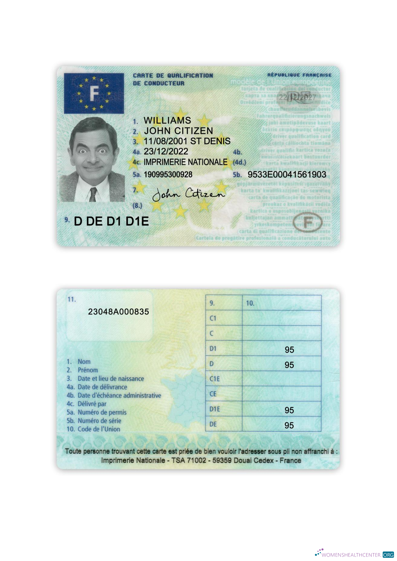Télécharger France Driving License 2022 Présent design