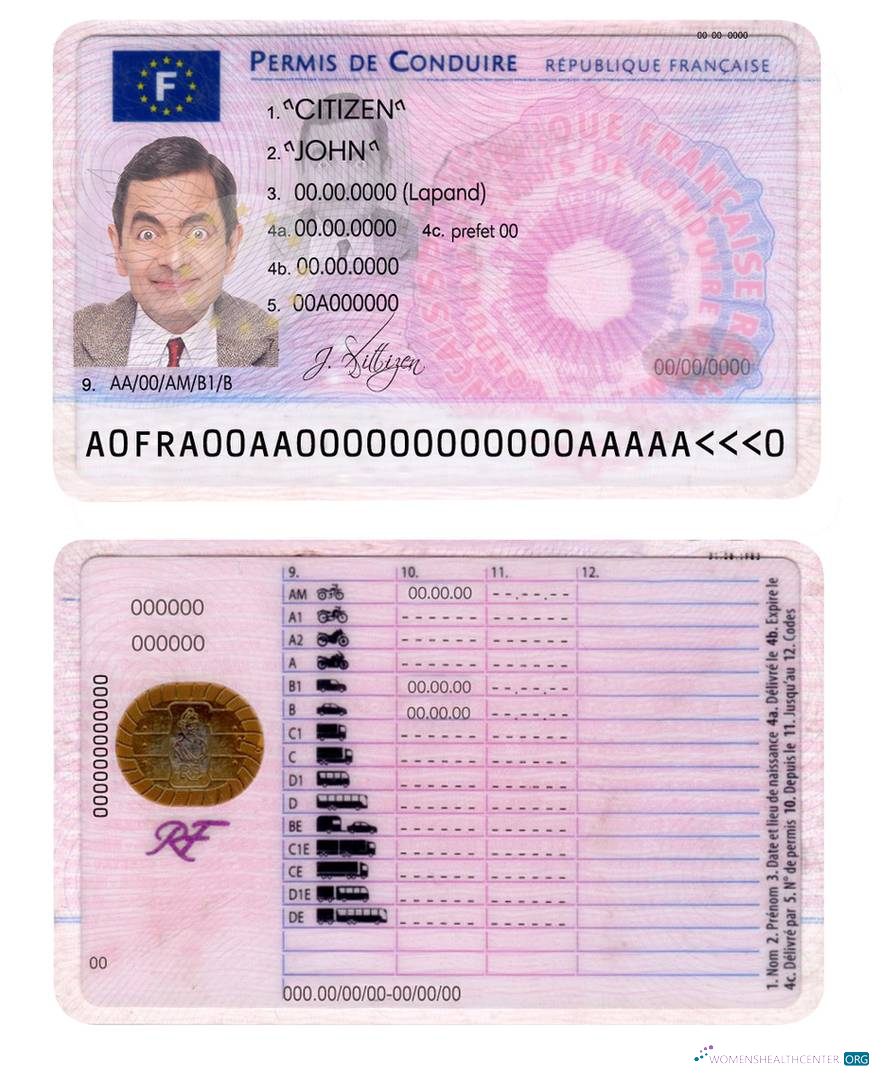 Télécharger France Driving License aperçu