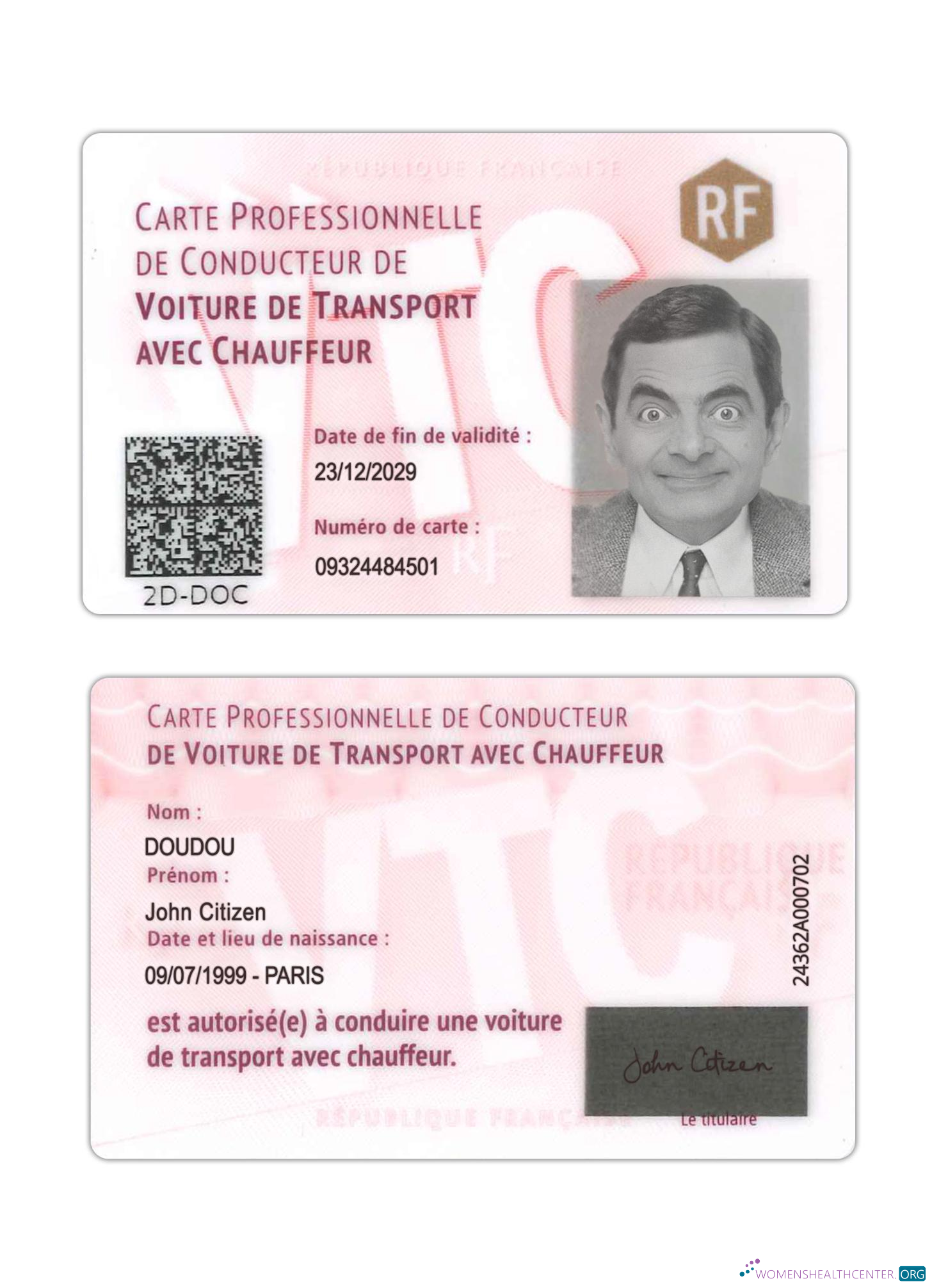 Télécharger France Professional Driver's Carte design