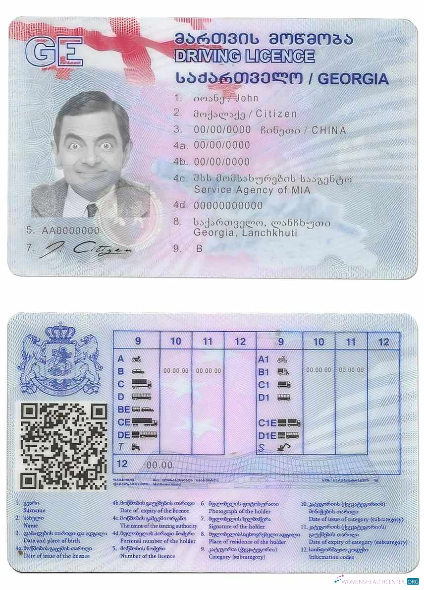 Télécharger Géorgie Driving License maquette