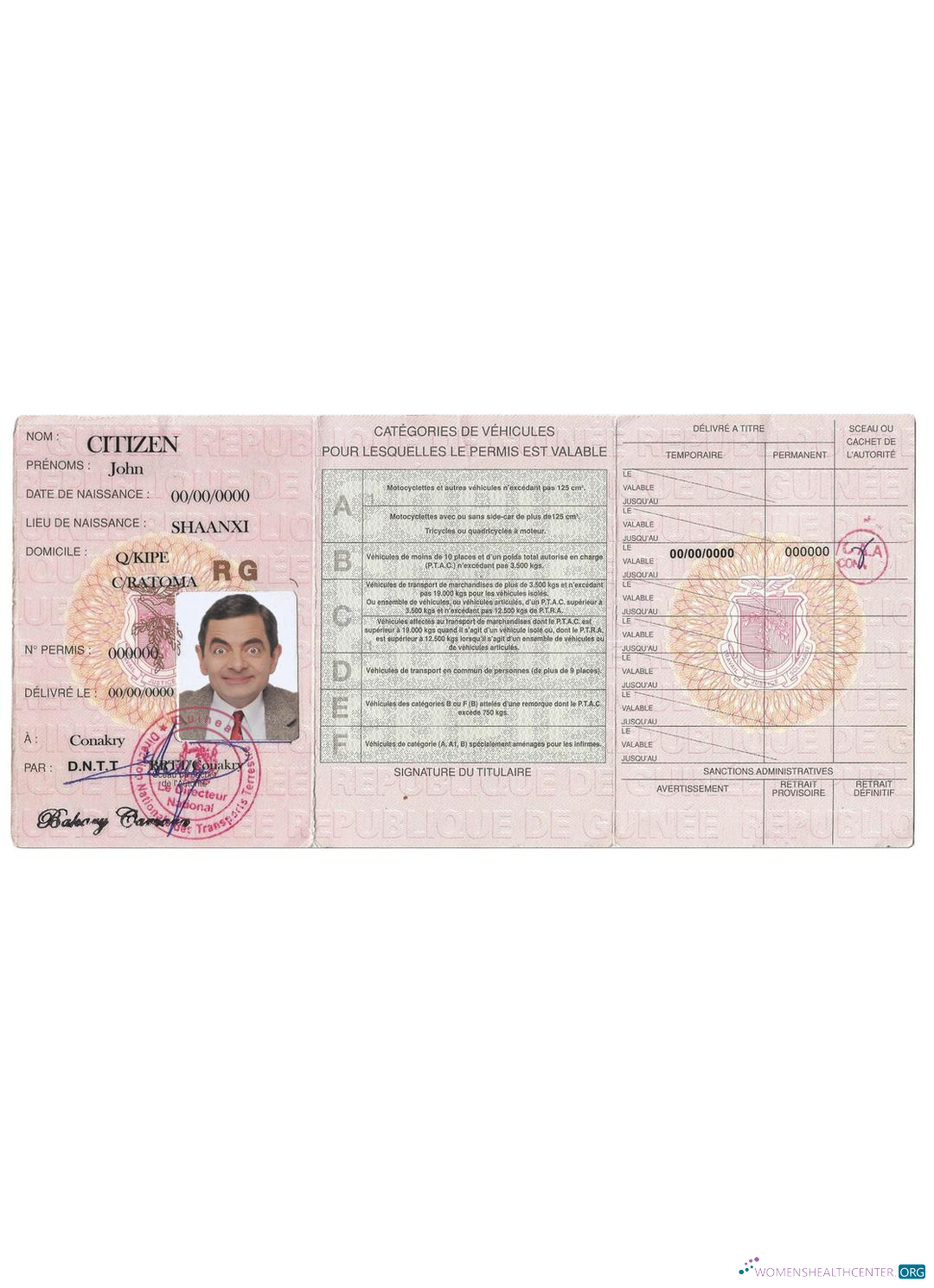 Télécharger Guinée Driving License modèle