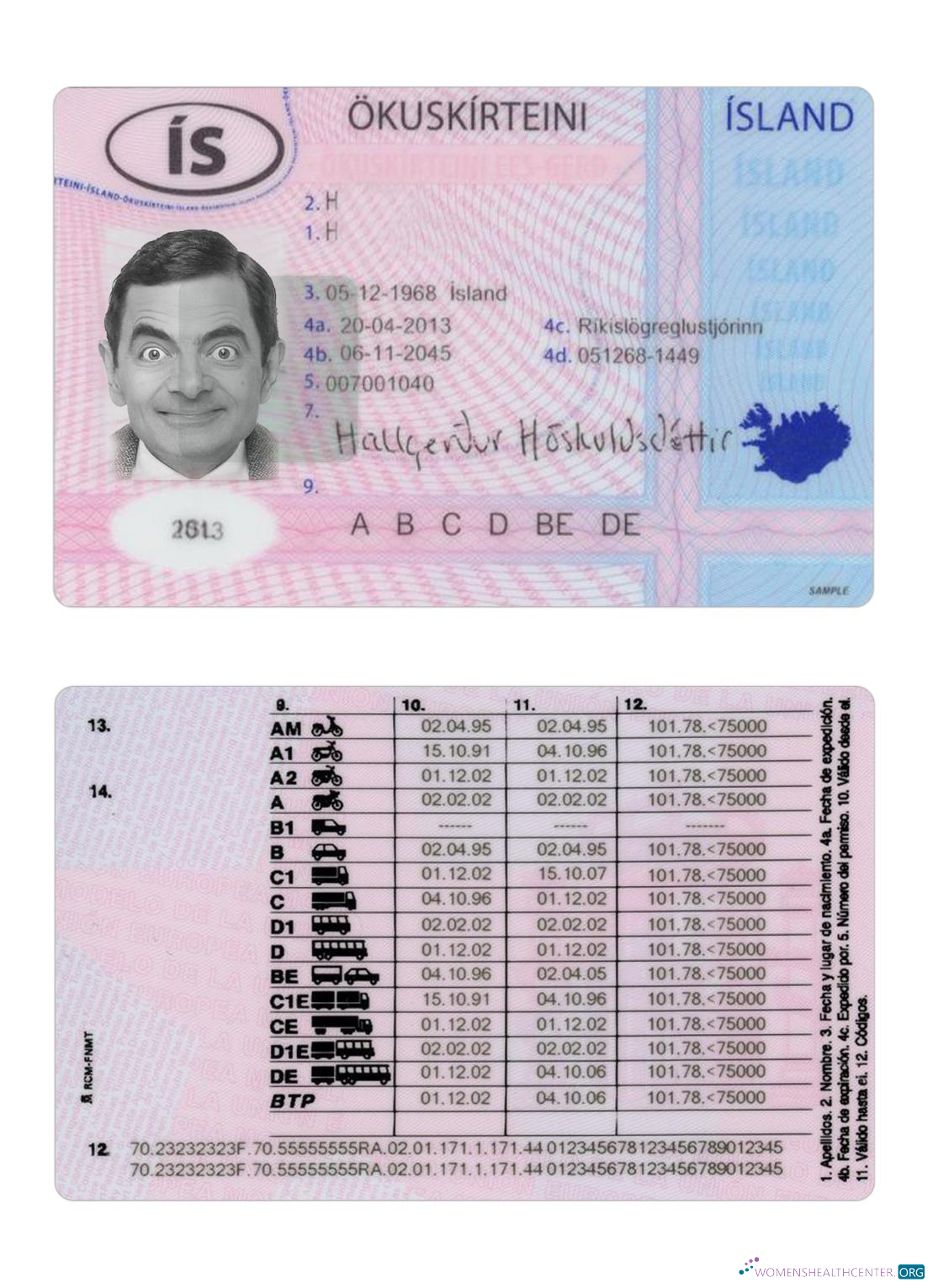 Télécharger Islande Driving License 2013 Présent modèle